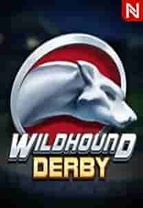 Wildhound Derby